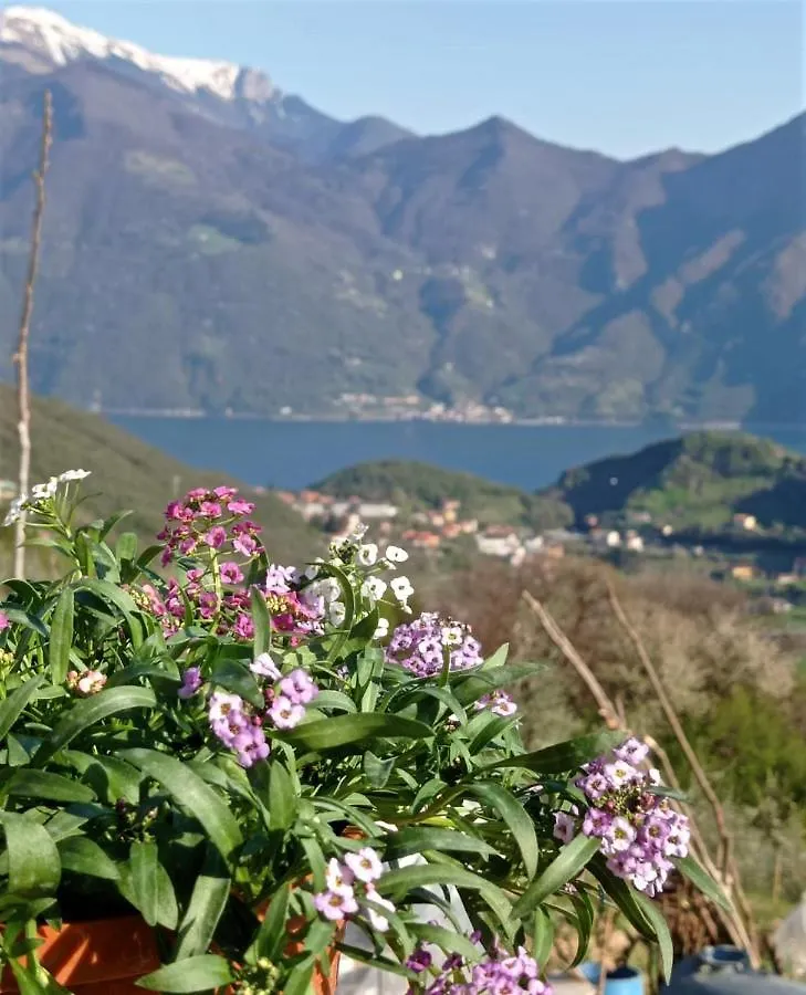 Chalet Fior Di Ciliegio Mountain Lake Iseo Hospitality Sovere