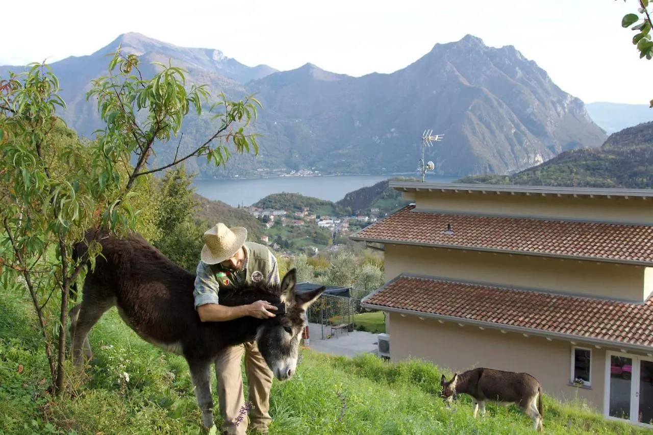 Landsted Chalet Fior Di Ciliegio Mountain Lake Iseo Hospitality Sovere Italien