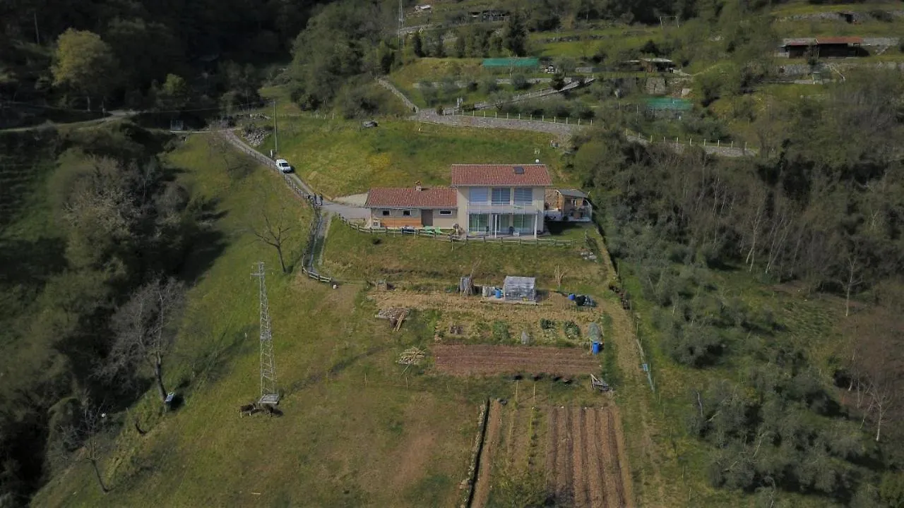 Chalet Fior Di Ciliegio Mountain Lake Iseo Hospitality Sovere Country house